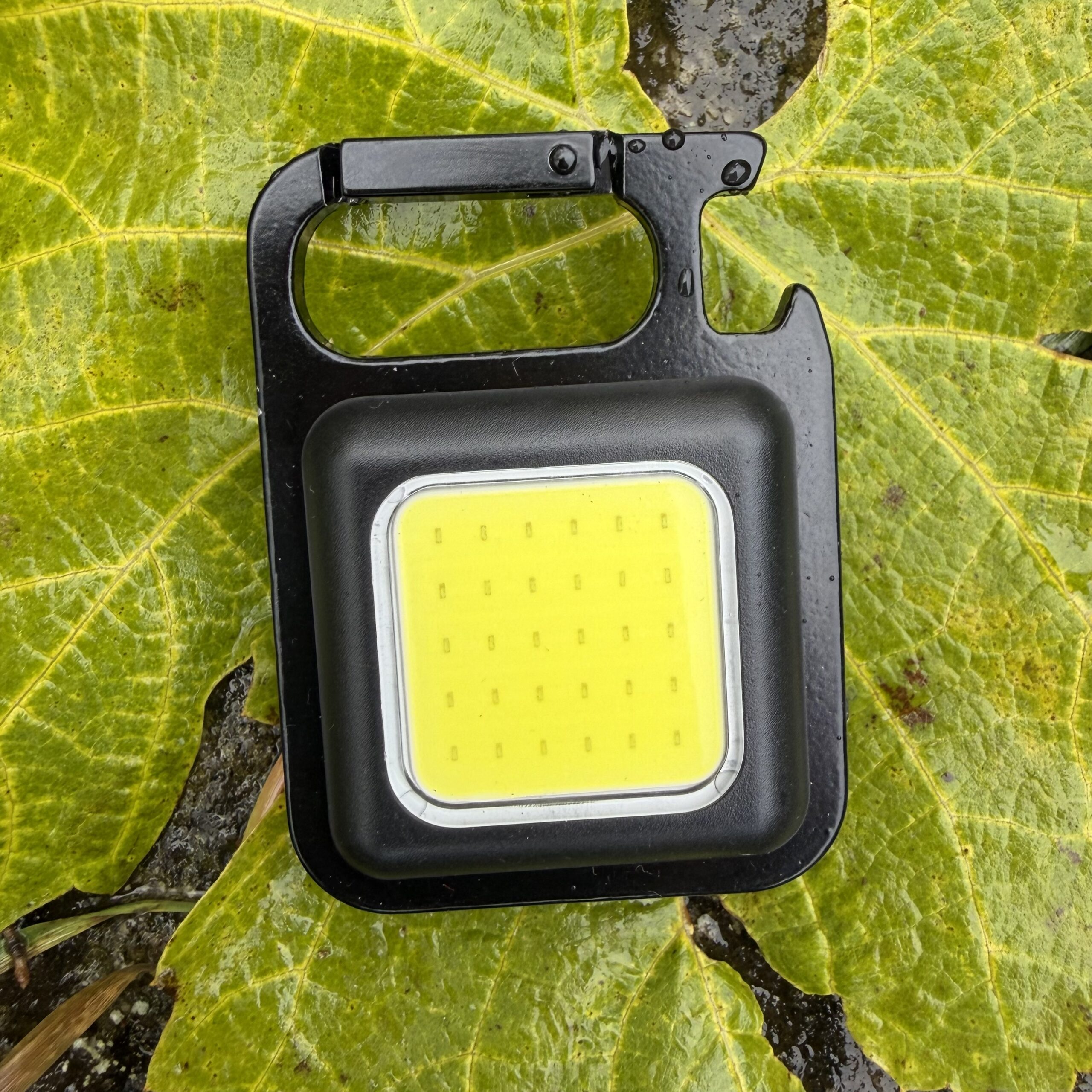 Inlägg utan rubrik 108