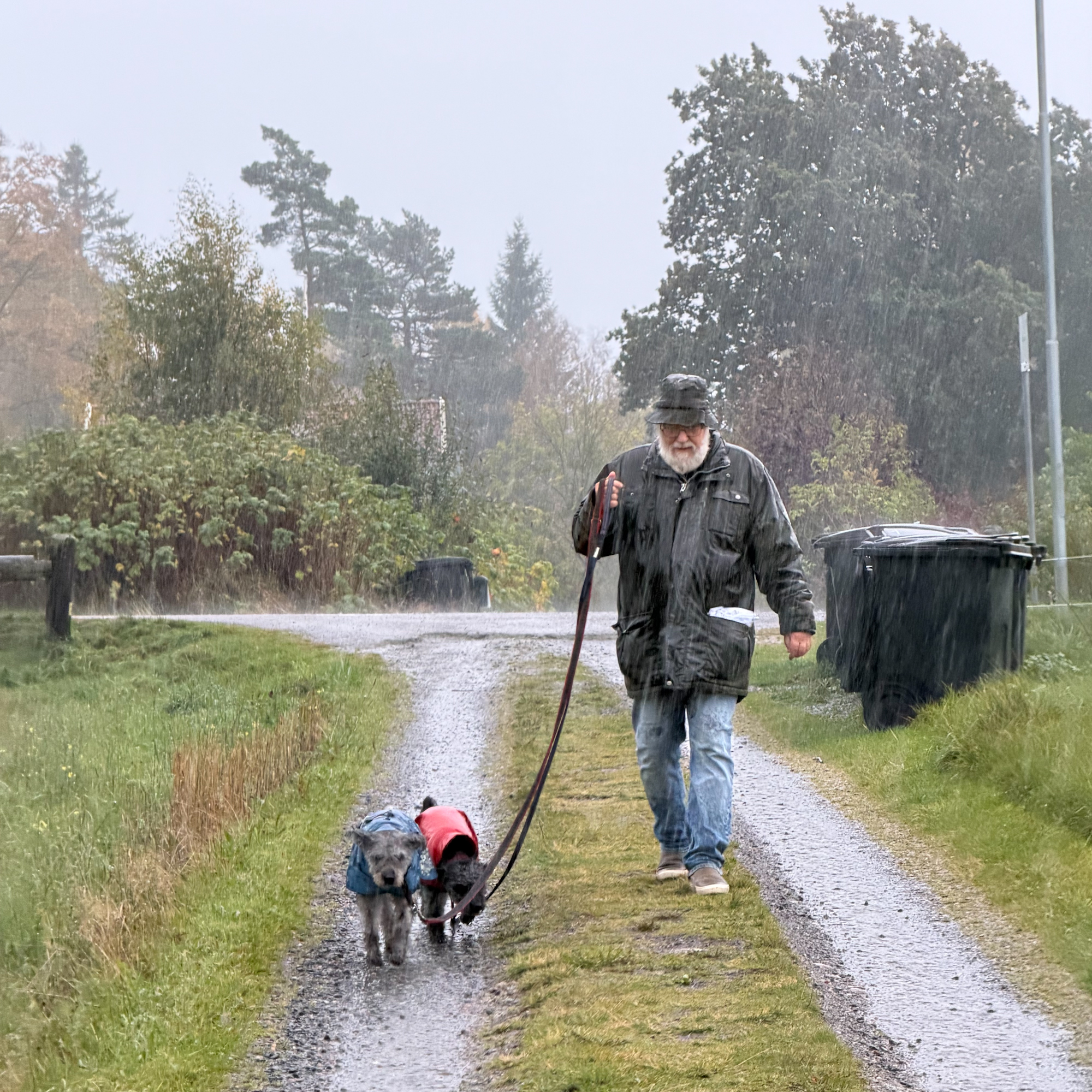 Inlägg utan rubrik 92